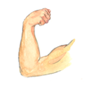 arm.png